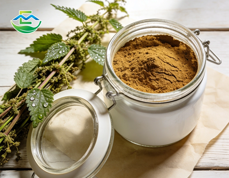 Sting Nettle Extract (Leaf)